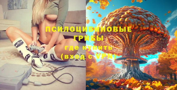 MDMA Premium VHQ Лагань