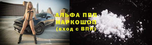 ГАЛЛЮЦИНОГЕННЫЕ ГРИБЫ Ладушкин